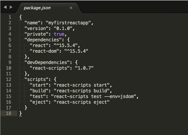 React Package Json
